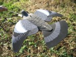 DECOYS & ACCESSORIES